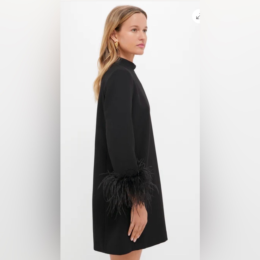 NWT Tuckernuck Black Feather Mod Ellie Dress , Large - Picture 8 of 13